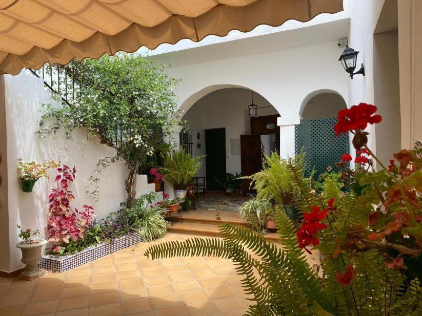 Apartamentos El Arco Conil De La Frontera Exterior foto